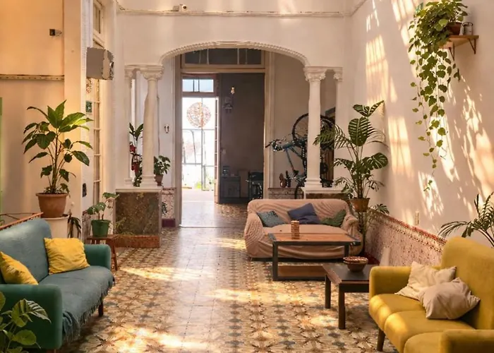 Perros hoteles Bohemian